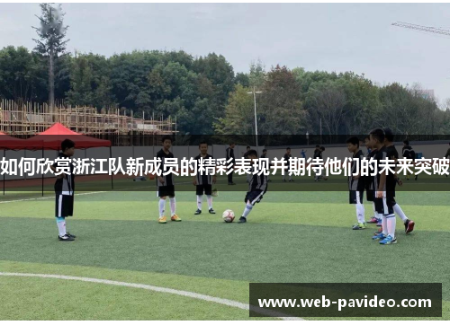 如何欣赏浙江队新成员的精彩表现并期待他们的未来突破