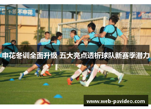 申花冬训全面升级 五大亮点透析球队新赛季潜力