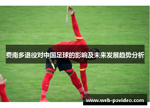 费南多退役对中国足球的影响及未来发展趋势分析