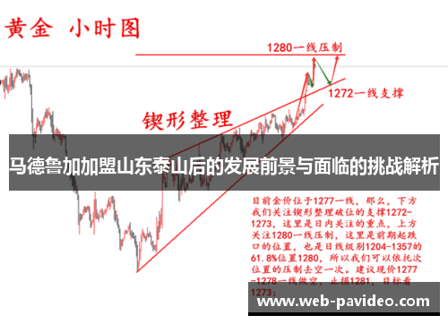 马德鲁加加盟山东泰山后的发展前景与面临的挑战解析
