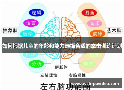 如何根据儿童的年龄和能力选择合适的拳击训练计划