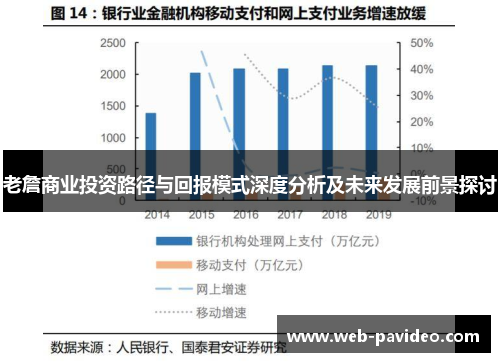 老詹商业投资路径与回报模式深度分析及未来发展前景探讨